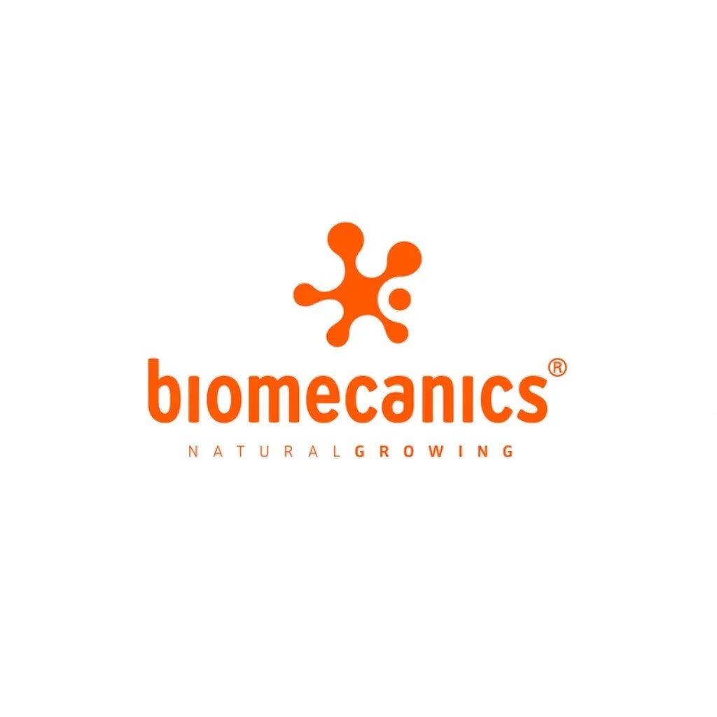 Biomecanics